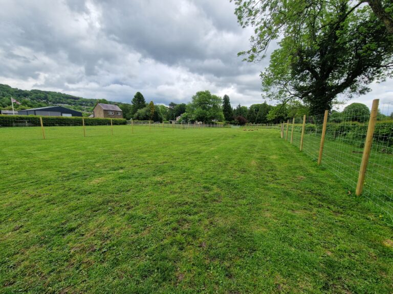 2091 42f31efe00861ad1d9921af63773d366 1 768x576