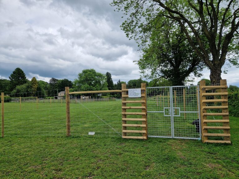 2091 5cfc2b02eed52eda64597993c09350f4 1 768x576