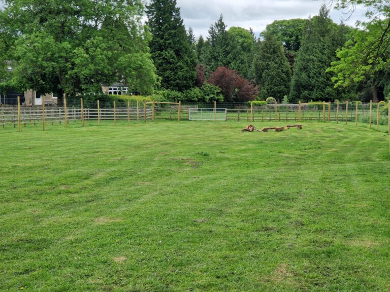 2091 fe47f7f4df651d7ee987692f8f720ca9 1 scaled 768x576