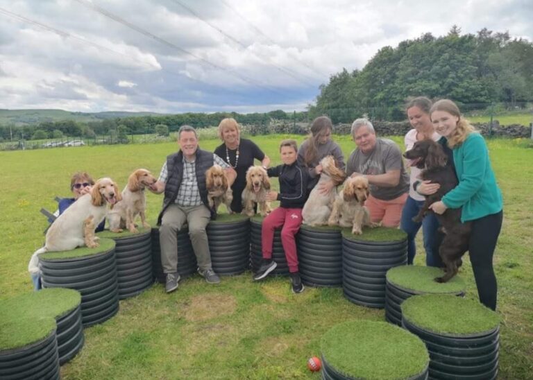 2093 11803b77852e13bcfb865018d42b14dd 1 768x548