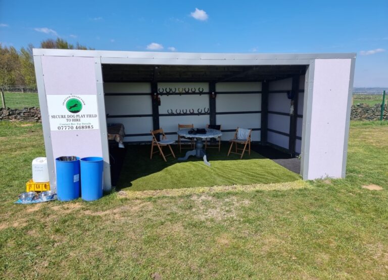 2093 c217a20c09512b4c2b7d8947f33d1cb5 1 768x555