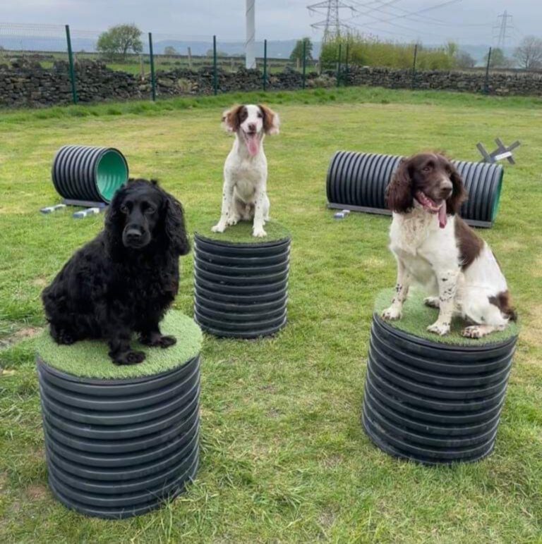 2093 d70f1b8ce69f73cc5bc1050e0a64a757 1 768x772