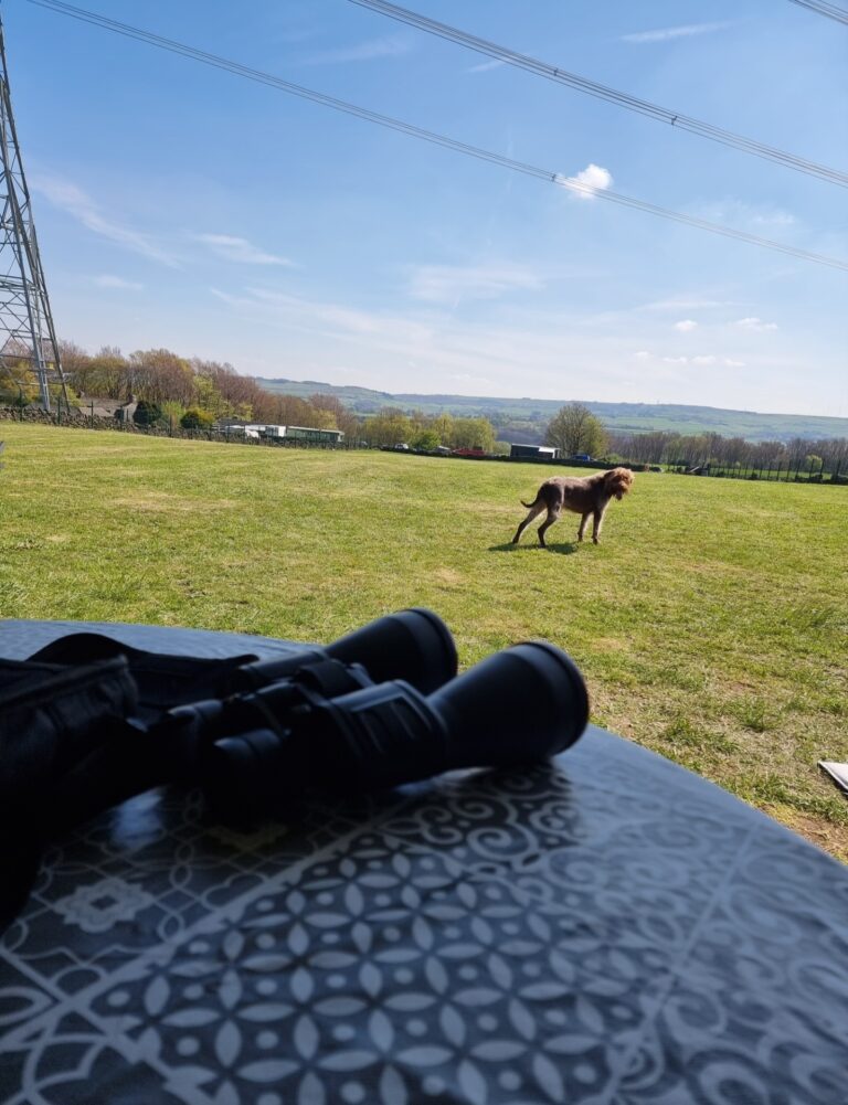 2093 fa2f9853497ac90993aa7e35e24b06e3 1 768x1001