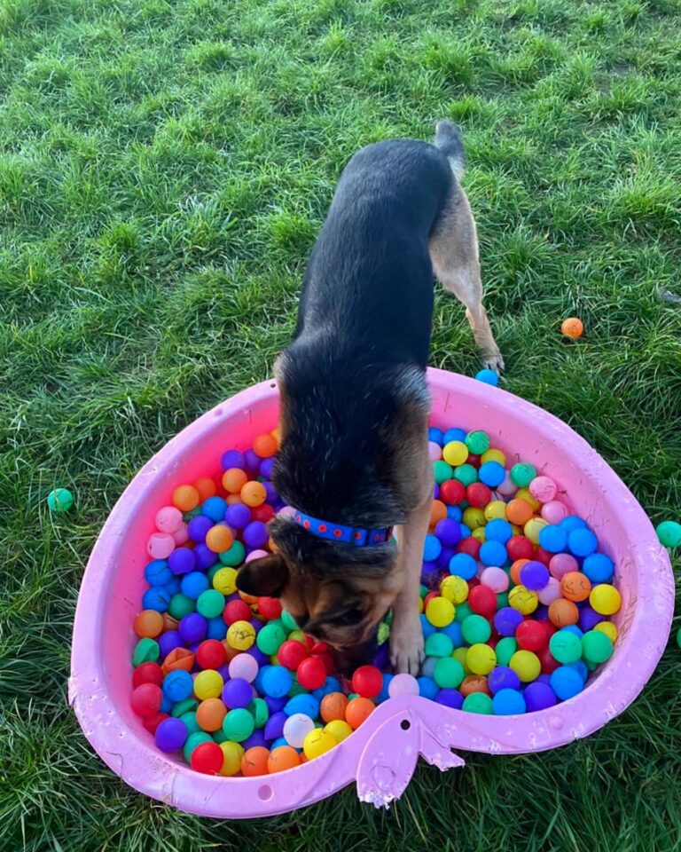 2094 1364f11533216b20933b4291e35628e6 1 768x960