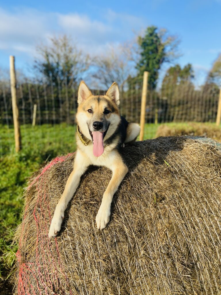 2094 3272f613f84fe7b624f58320726d8c8a 1 768x1024