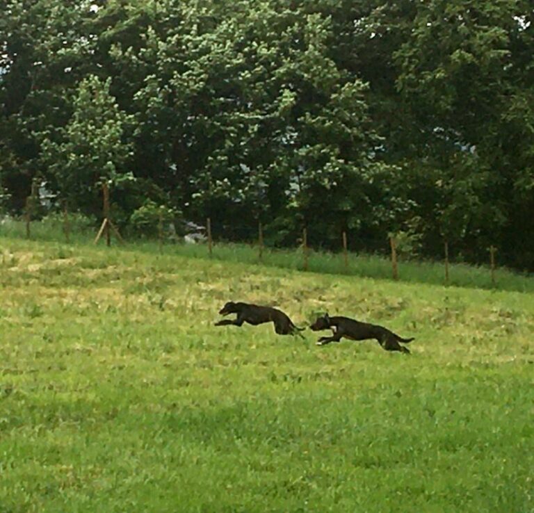 2095 18b72c0bb7018f6c32026d5d6f9e54c7 1 768x738