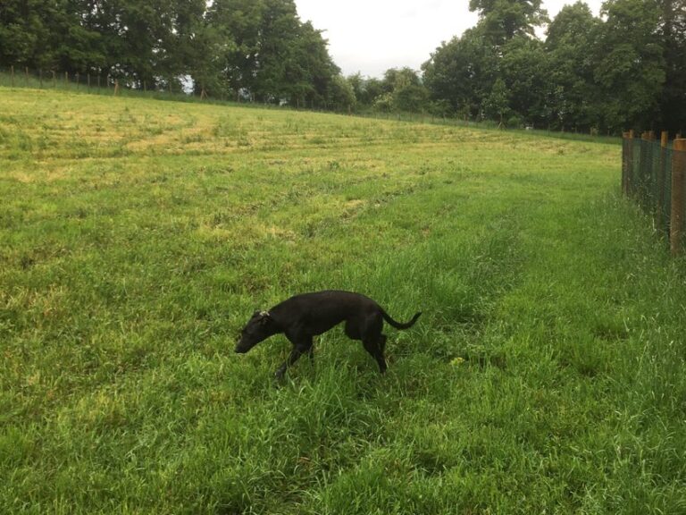 2095 27f0e4a71fd463238dce0fcaf7b02189 1 768x576