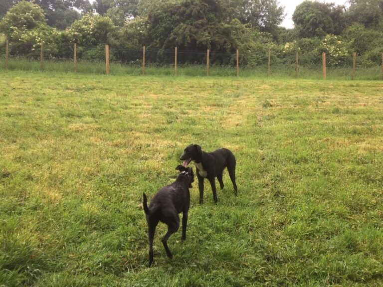 2095 5b37b8d25947b1e4eea66d8bb1b7b071 1 768x576