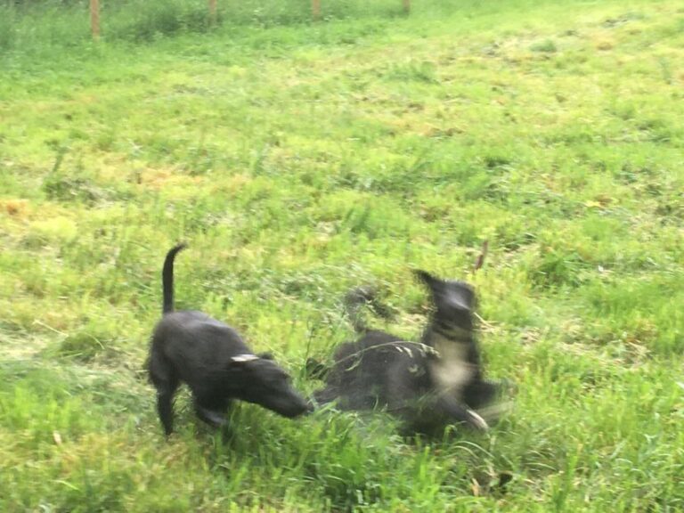 2095 69702af4317d0b51bb67f79d54ac859c 1 768x576