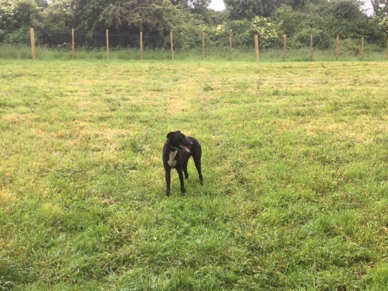 2095 a0aa5014c7670639174918383ba6ebc2 1 768x576