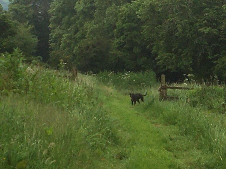 2095 a9fdc8e67177da14a2d49a3e30c6c70a 1 768x576