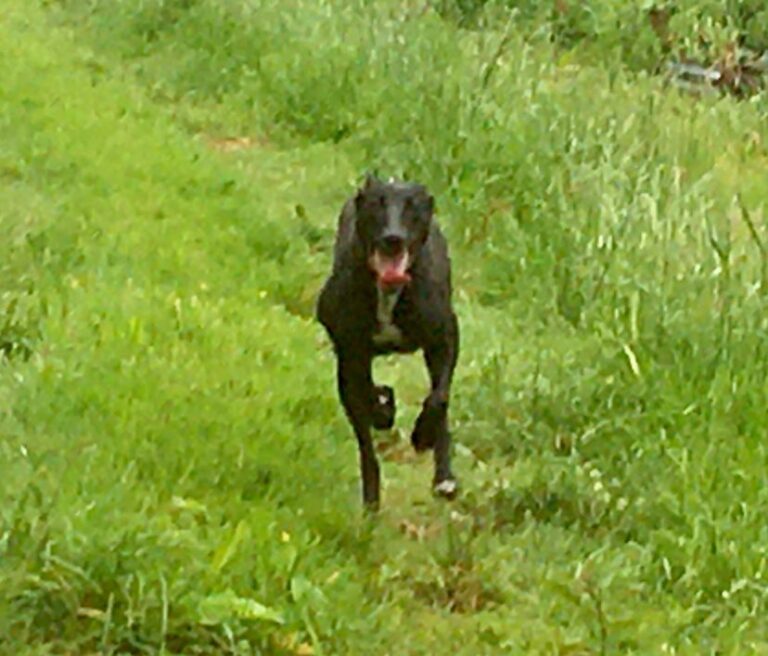 2095 db1520e85bc59ce9e211a8b6dd3e5567 1 768x656