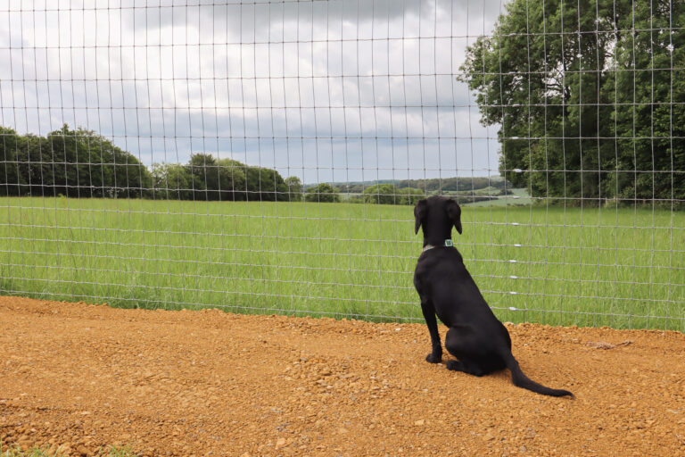 2096 635eba3f5b2b877e54bd10bd2f0e4e65 1 768x512