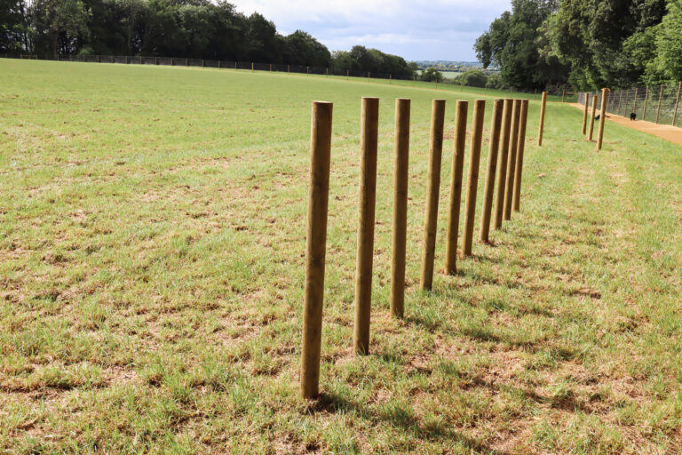 2096 89c6884e77383d528ca9856fc911d006 1 768x512