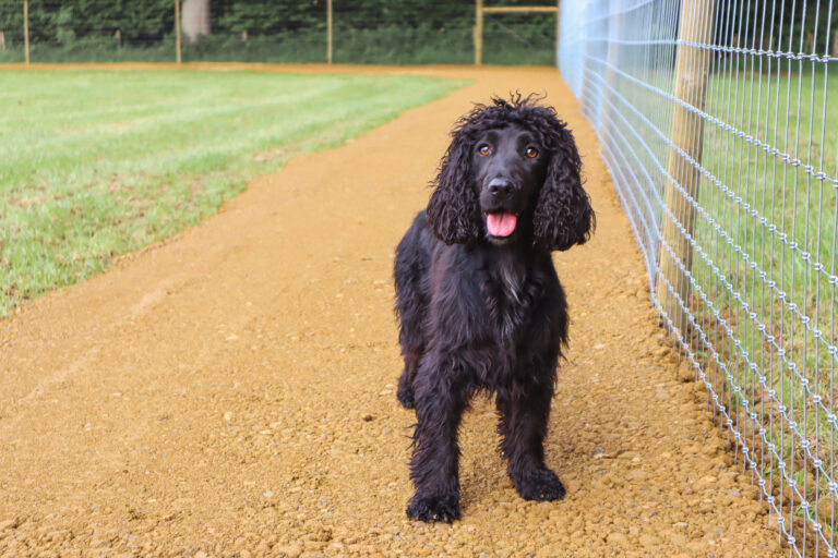 2096 f0f7d9013742e058c37713375bbb1f1c 1 768x512