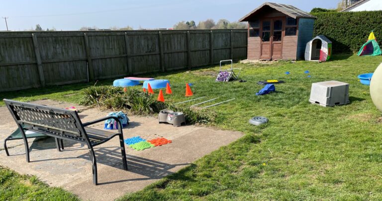 2099 cab0f8828f72506546122dc66a1b6d69 1 scaled 768x404