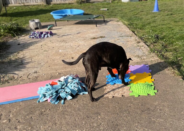 2099 ec5144333a10380af3f1be94640e7671 1 768x547