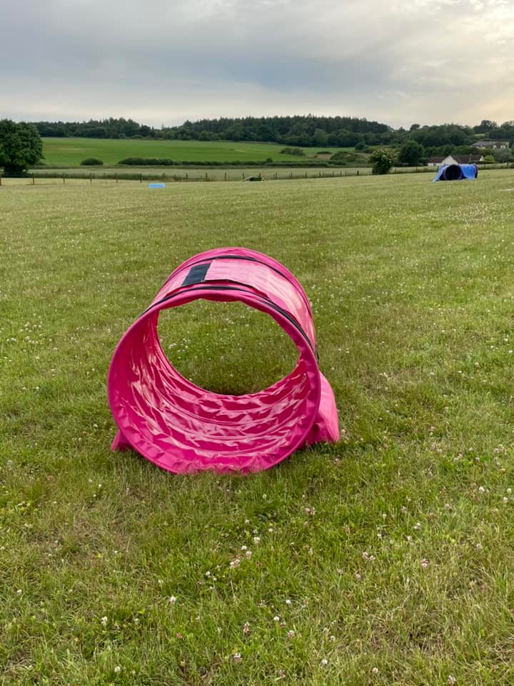 2100 0c78779be20c7416cfb279a0b283eb50 1