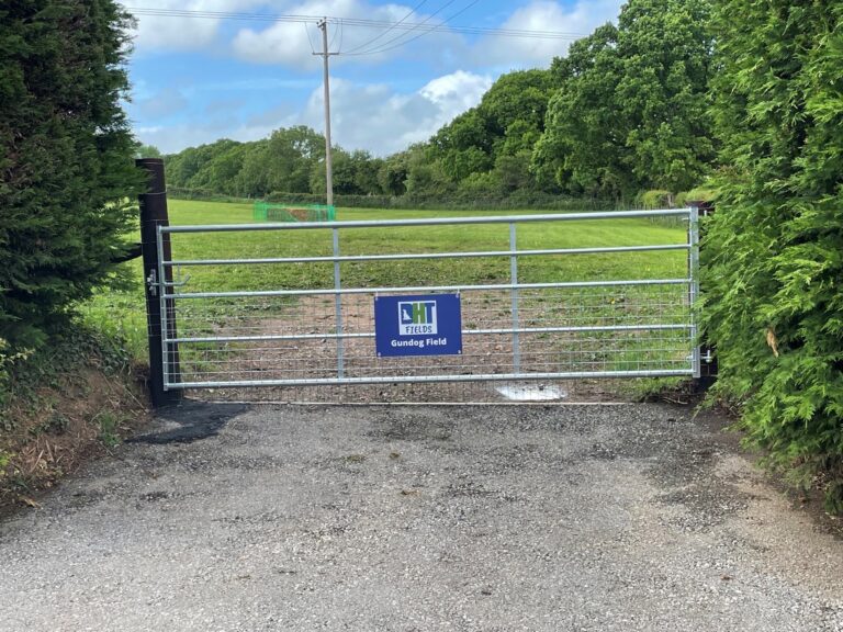 2100 19a0aae22e58fb5387877f108020e188 1 768x576