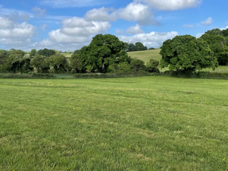 2100 27708a88939263d566af8dc1ae9b6030 1 768x576