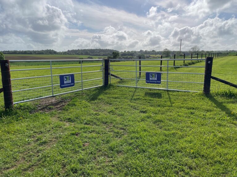 2100 6504a9802a7cabe051b50ba0cb166e02 1 768x576