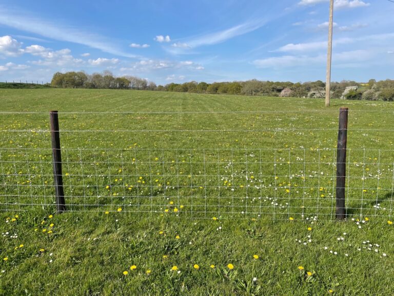 2100 7de32ea0670faa29d8b5dea7e5b035da 1 768x576