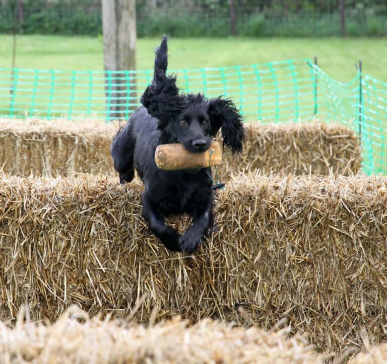 2100 954b2856a3bff396f82629c9805e087a 1 768x724