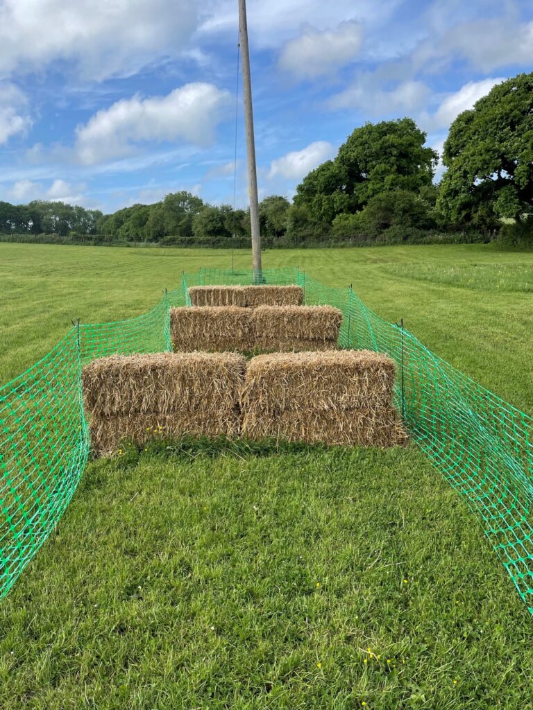 2100 fc758d0365a0222a4612e3a98e52db05 1 768x1024