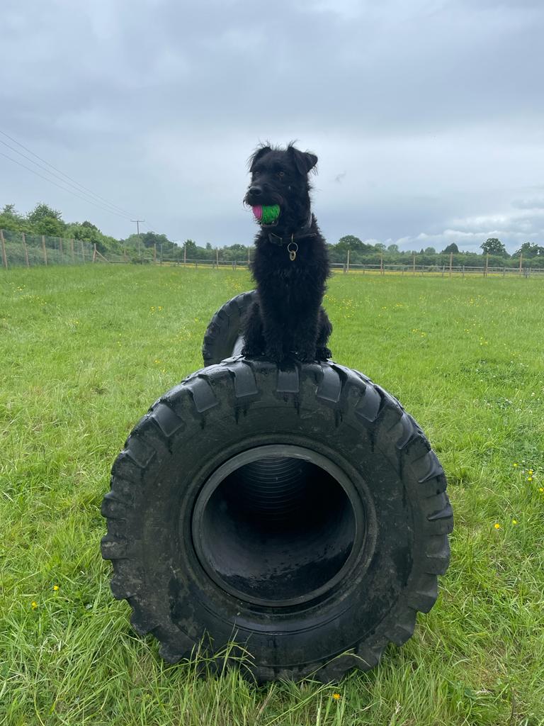 2101 1077b69b17145990c72b23e8070379cc 1