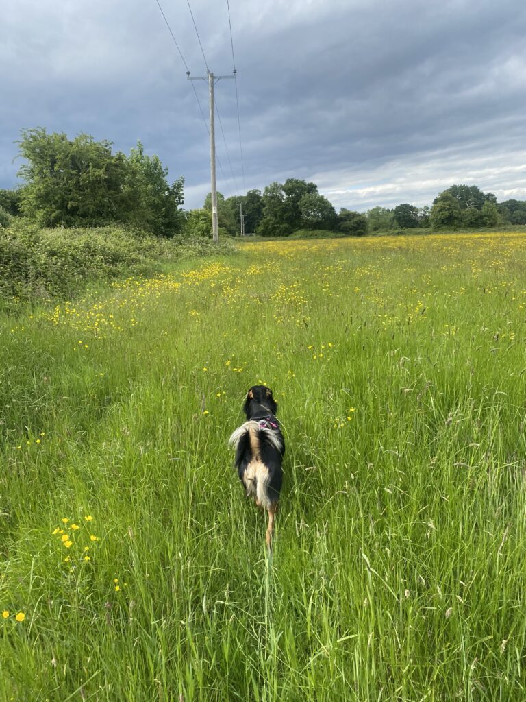 2101 66df84c20769c4ee0b95d5b576074f40 1 768x1024