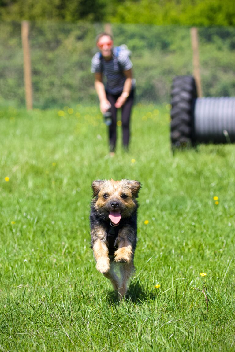 2101 7f1d49b56dc1c601755a51a548f755c6 1 768x1152