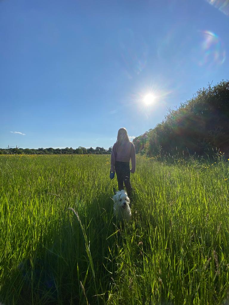 2101 81307648615df97b888b8dcb49a34dfd 1