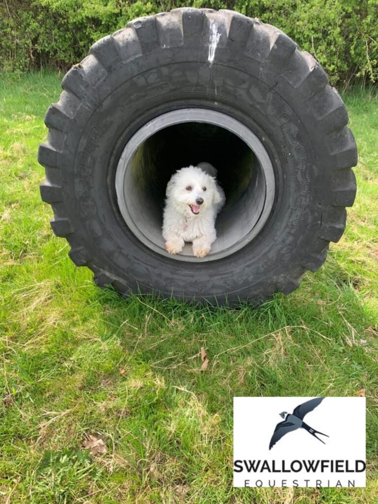 2101 87e2ed2322c9aed67dfd7ddb63b68e94 1 768x1024