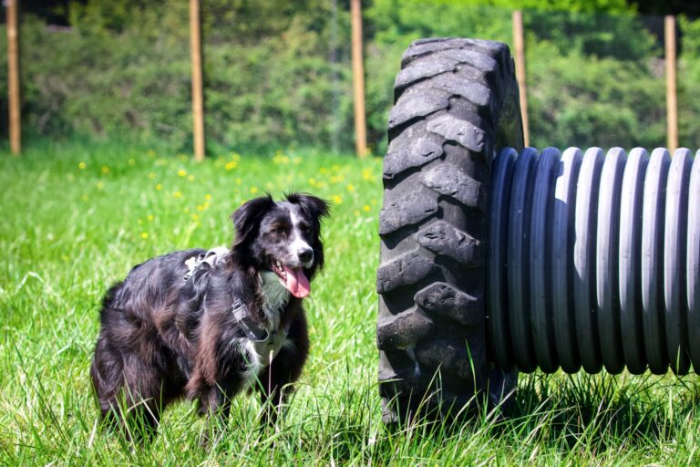 2101 be191ed80bd094697dd90b898d0ce27a 1 scaled 768x512