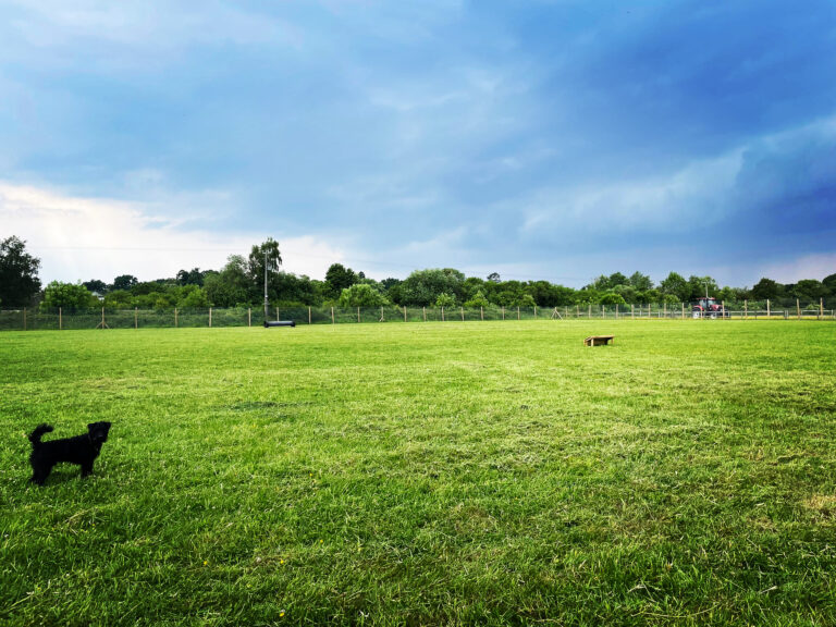 2101 c6580276a83551c7acc3aaef4ba24617 1 768x576