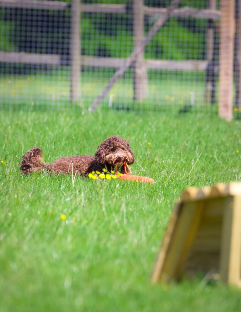 2101 f19c5509a50df88a1f3e1b1a70891218 1 768x994