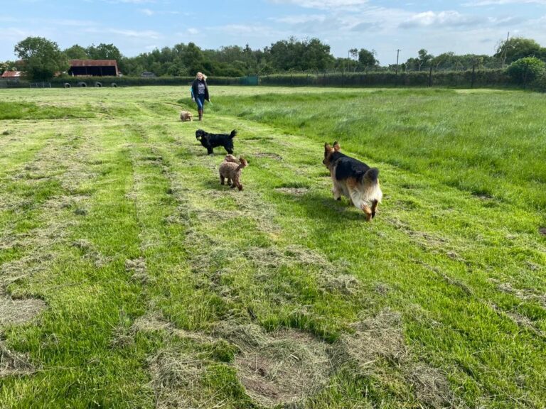 2103 ce42b9fb0a9fbecd8da4ddc57a5cb660 1 768x576