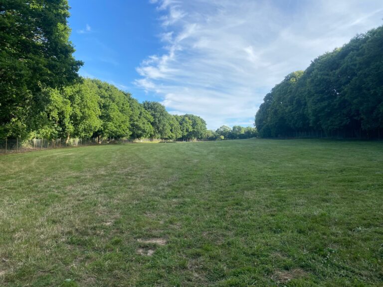 2107 0152a683952d70ec378e20bd2fab85f2 1 768x576