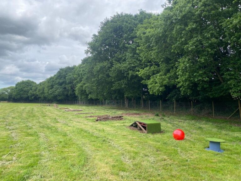 2107 23cf66442c20e1ab2ef33fba9c4ff08f 1 768x576