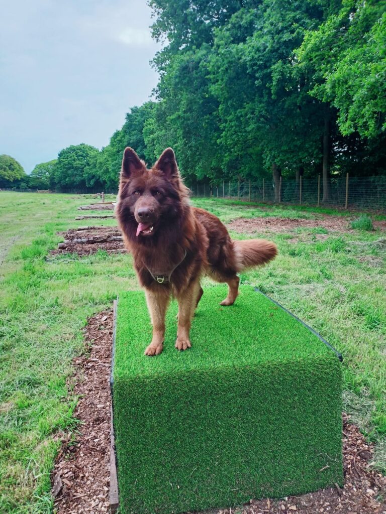 2107 2885cd454f761bbb236ad19c76937322 1 768x1024