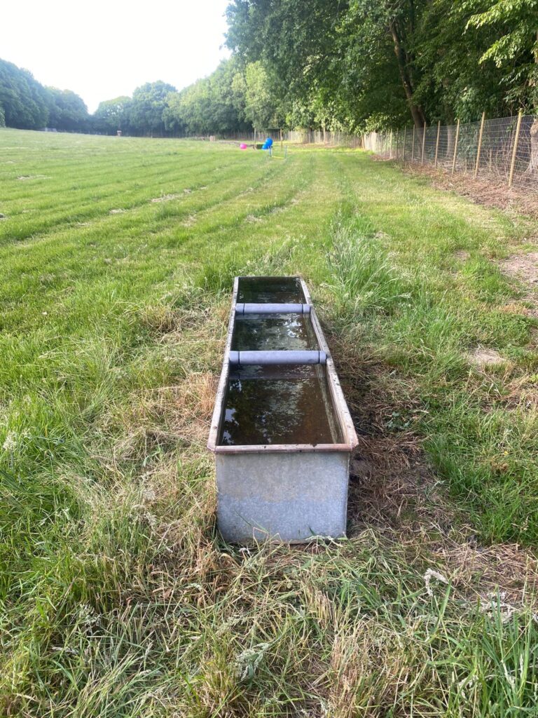 2107 28a04d272c899c7881592a55850b2a12 1 768x1024