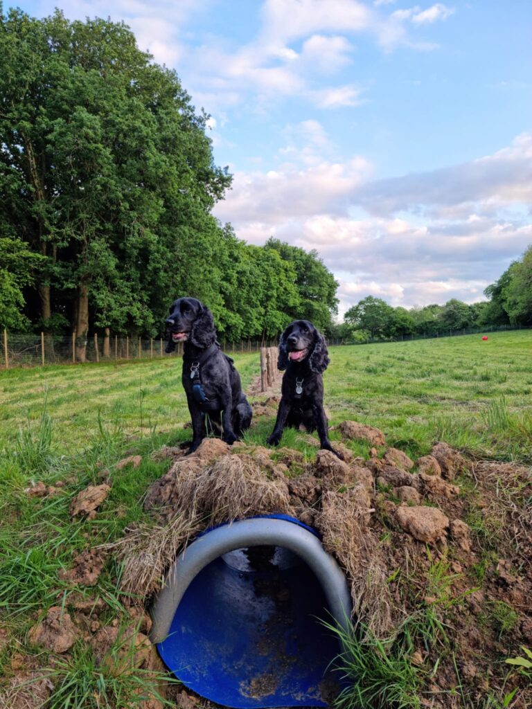 2107 55b88f3e675ff44c287c5ee93f3db9f6 1 768x1024