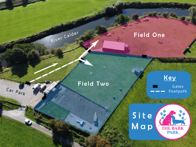 2108 20ca3a56d0dbcb51dce86f0770a0092c 1 768x576