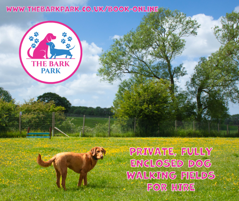 2108 45cbf5b6bf27c95b204ccfb4e6fe83af 1 768x648