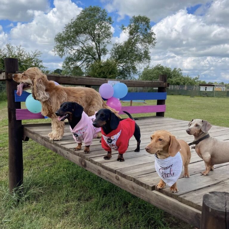 2108 5755017924fbc22ec5aeb629e4a7e380 1 768x768