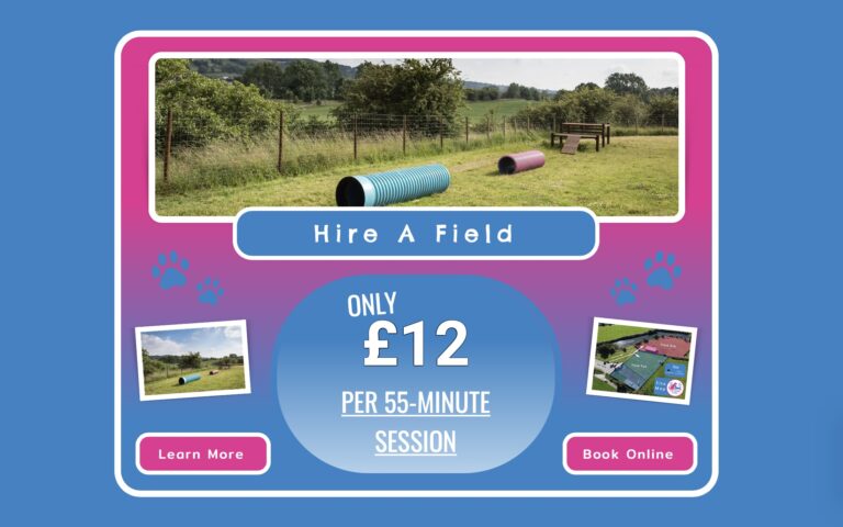 2108 baedd3ec61701f137b89ce3d3157a1c1 1 768x480