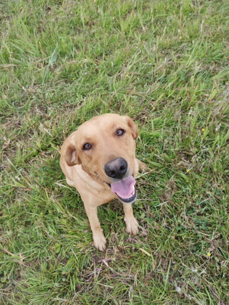 2109 210422d92a931f1269357f9a5fd82610 1 768x1024