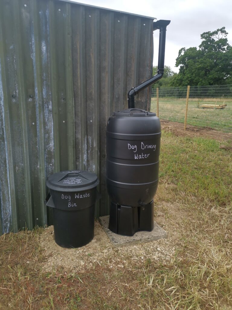 2109 322c6d2132d4e562821714ed8f0d5bb6 1 768x1024