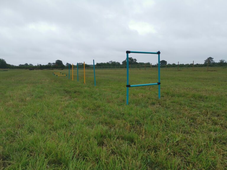 2109 34c1dd7e688937fe9076956648e75526 1 768x576