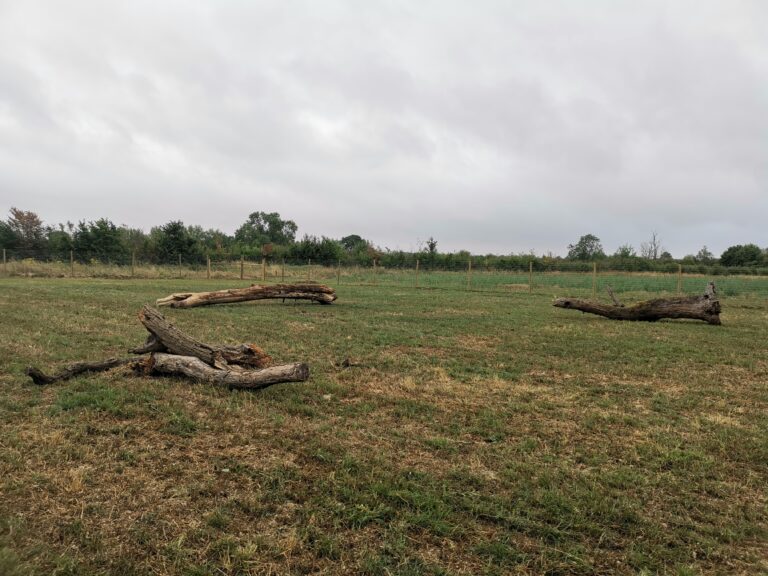 2109 bf5cfab9fe852d44e754e7cdee2f580e 1 768x576